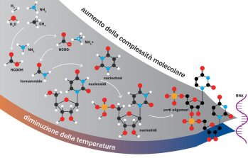 Generazione dei primi oligonucleotidi sulla Terra