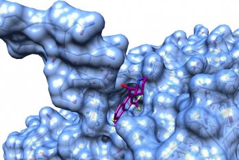 Simulazione computazionale